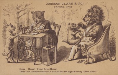 Johnson, Clark & Co - American School